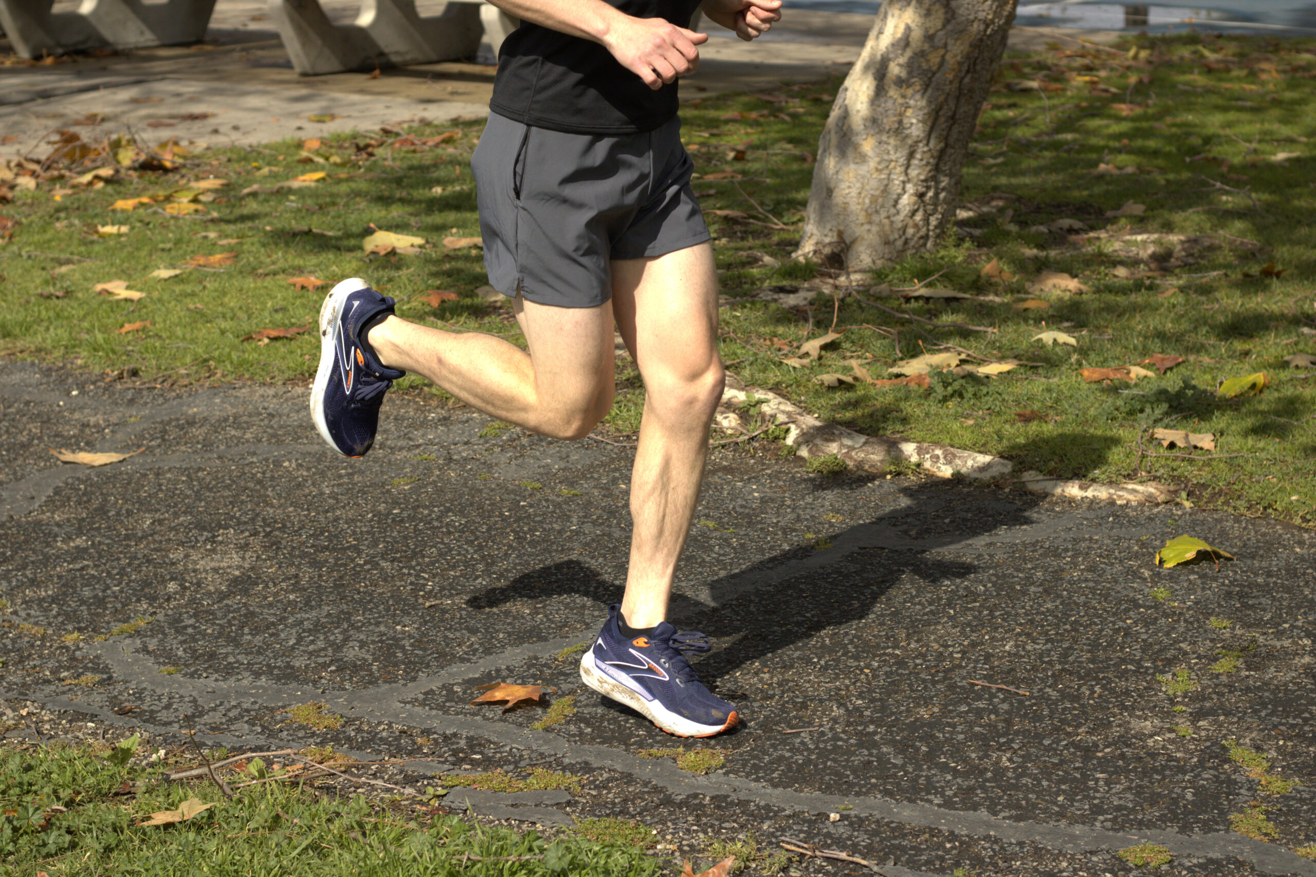 ウォーキング・ランニングウェア Gunhr running shorts CLOTHING - Terrex Agravic Trail Running Shorts - Black | adidas Oman