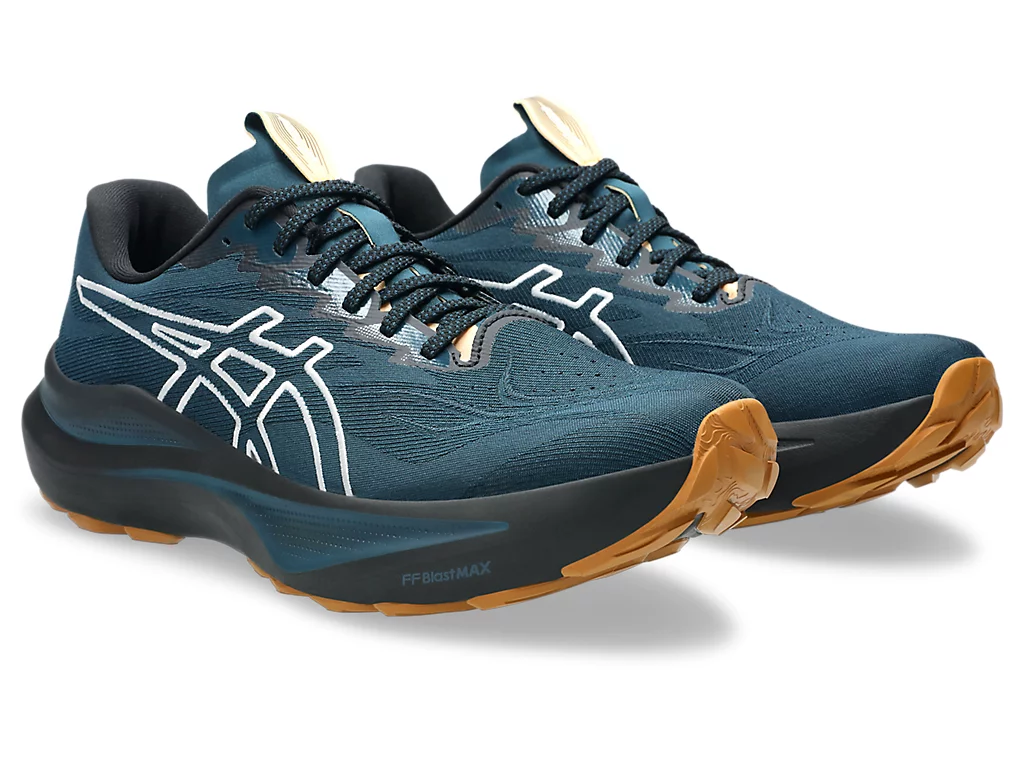 Men's Asics GT-2000 14 TR